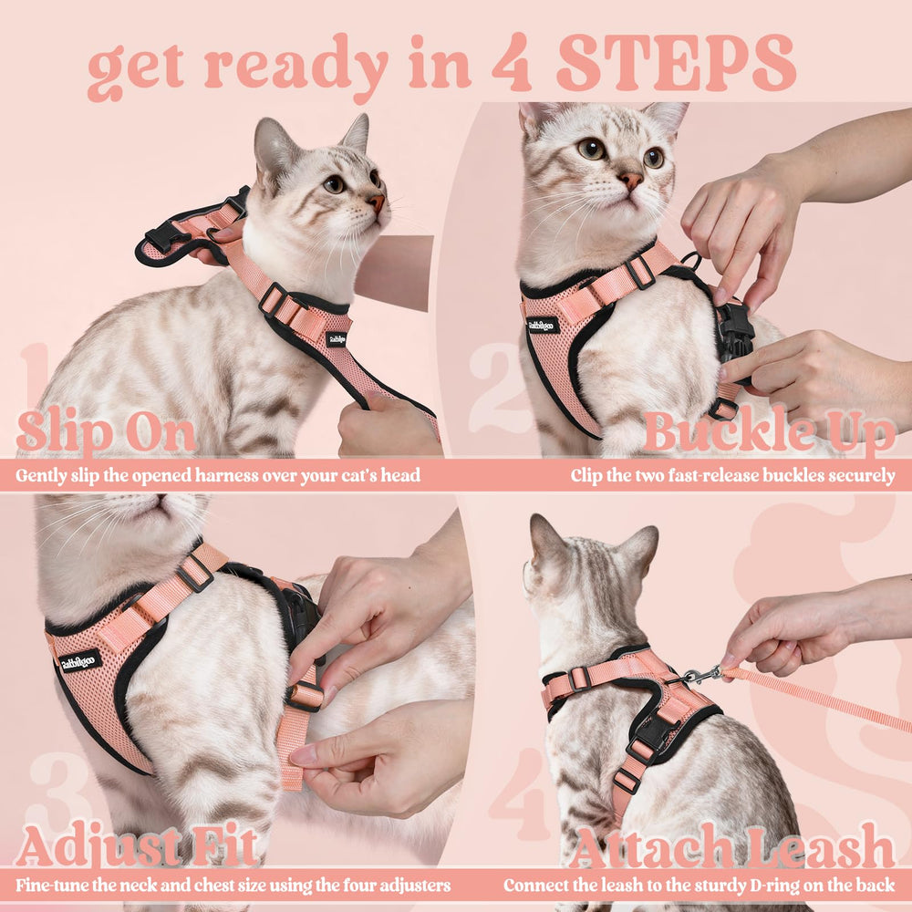 Rabbitgoo vibrant color harness adds style while keeping your cat seen.