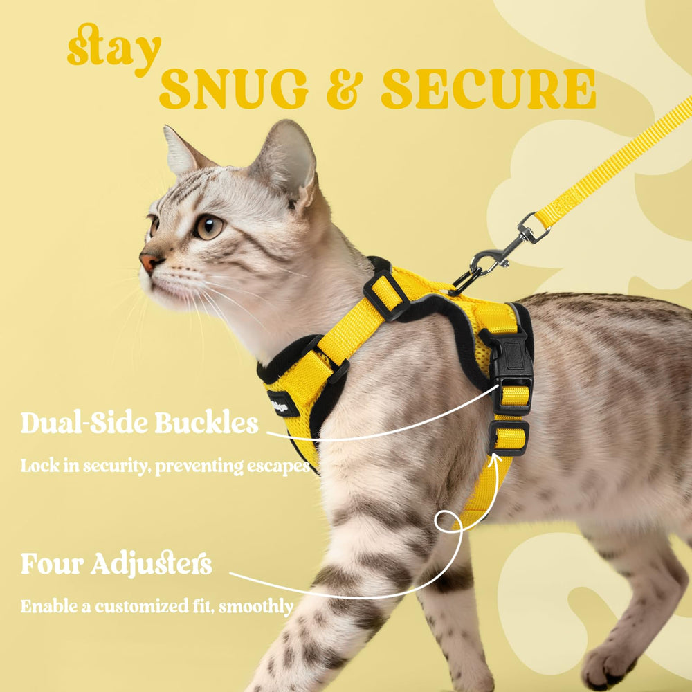 Rabbitgoo yellow cat harness ready for outdoor adventures.