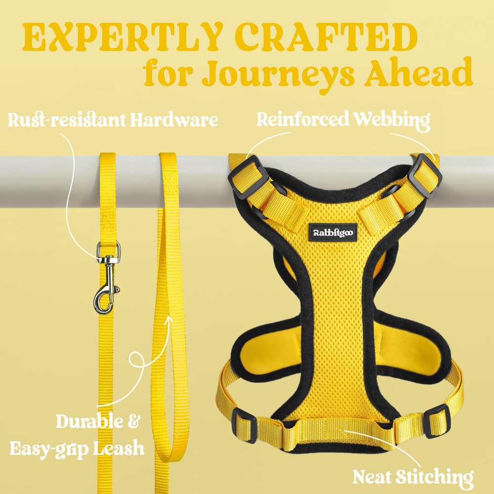 Rabbitgoo 4.9 ft leash paired with the harness.