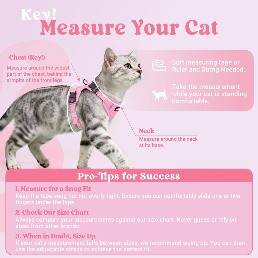 Rabbitgoo cat leash 4-9ft for flexible outdoor control