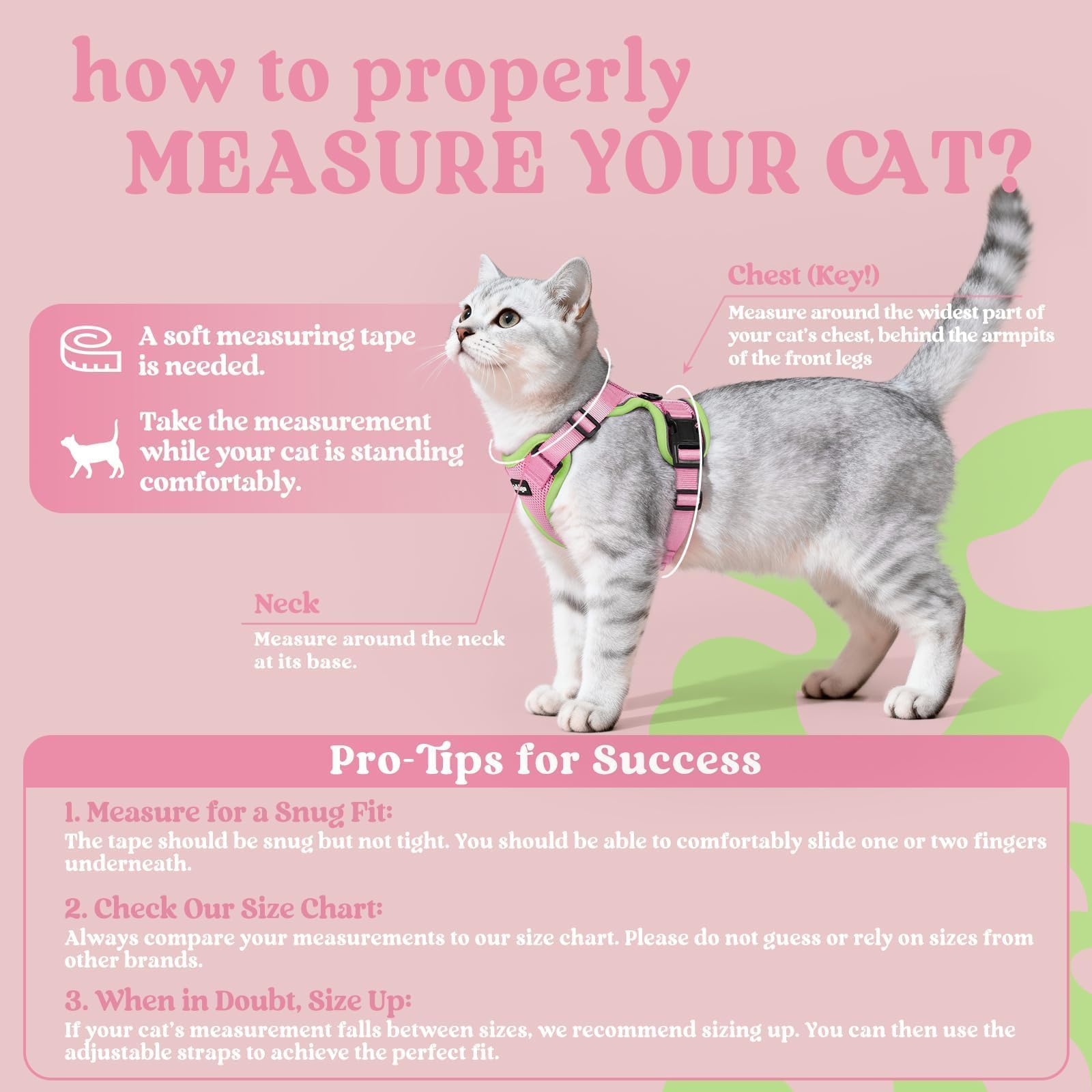 Rabbitgoo cat leash 4-9ft for secure, lightweight control during outdoor time.