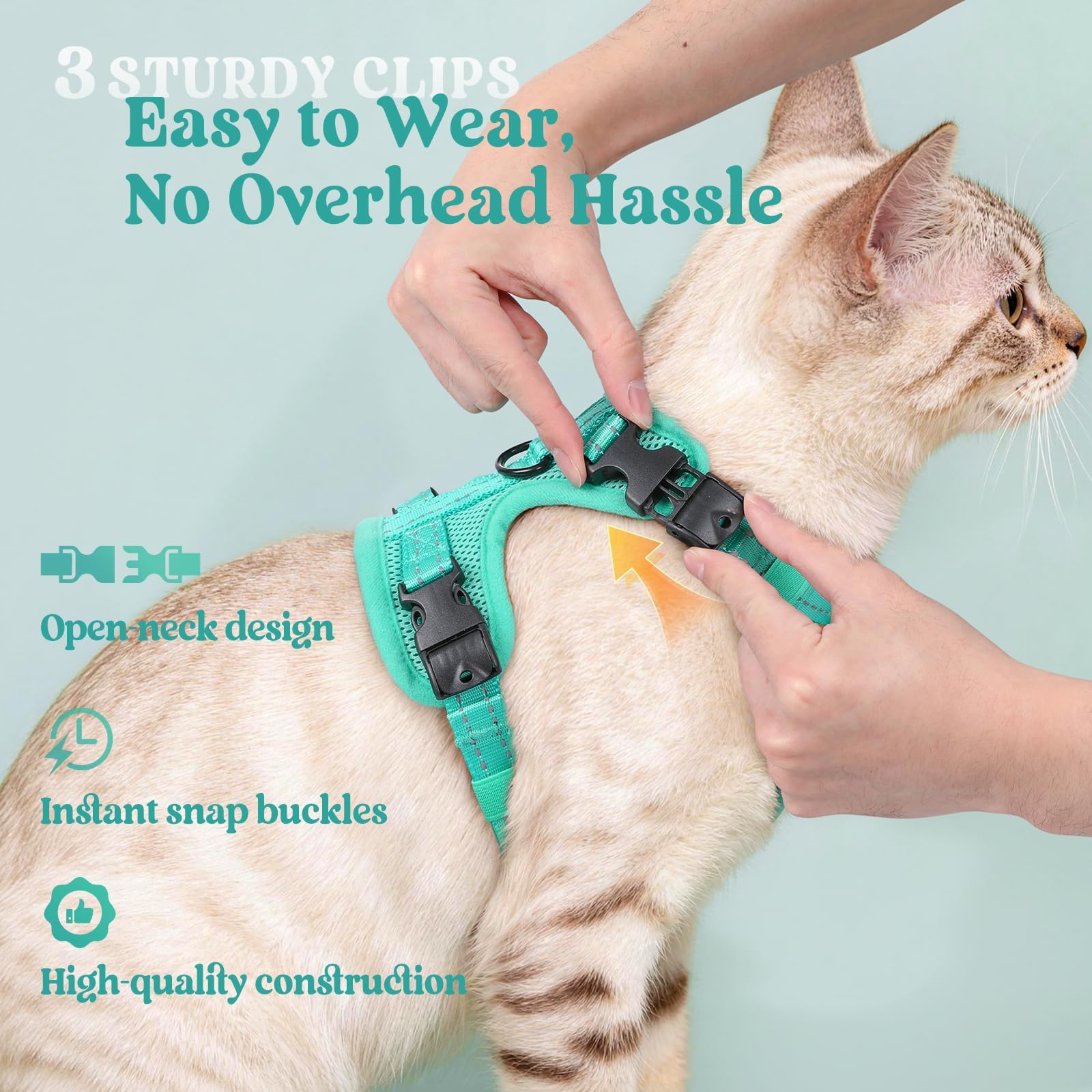 Rabbitgoo 4.9 ft cat leash attached to a harness for reliable control.