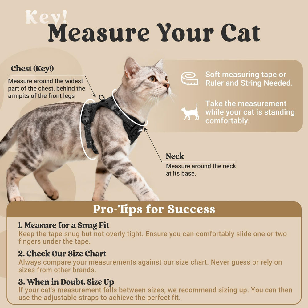 Rabbitgoo cat leash shown with the 4.9 ft length for safe walks.