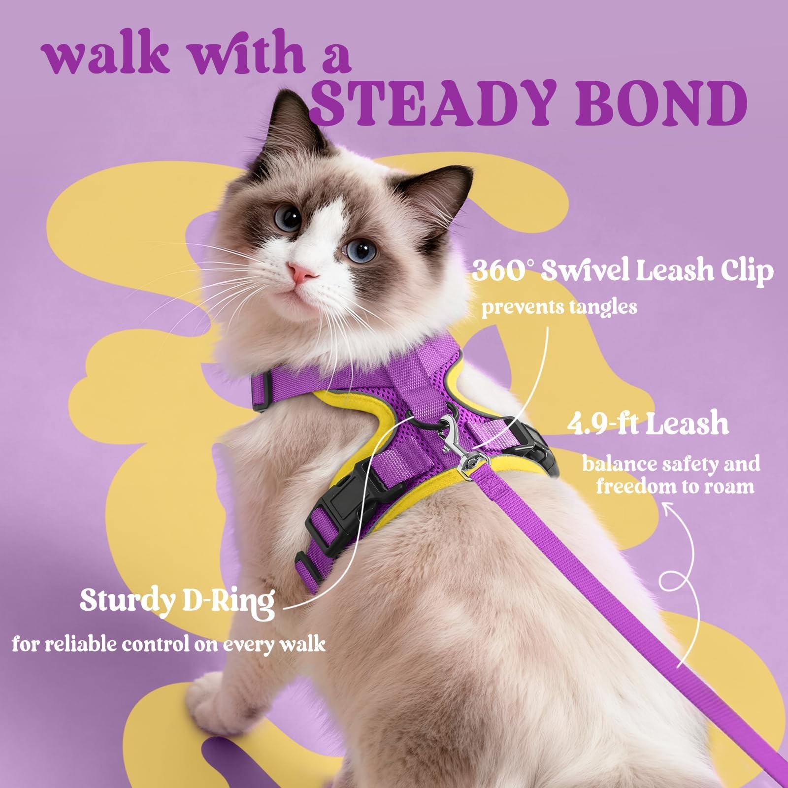 Rabbitgoo 4.9 ft leash paired with harness for calm walks.