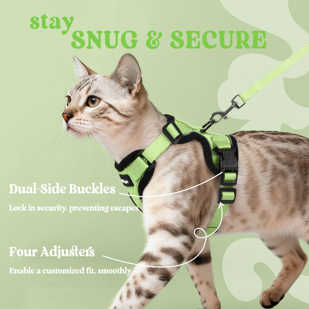 Rabbitgoo 4.9ft leash included for balanced control on walks