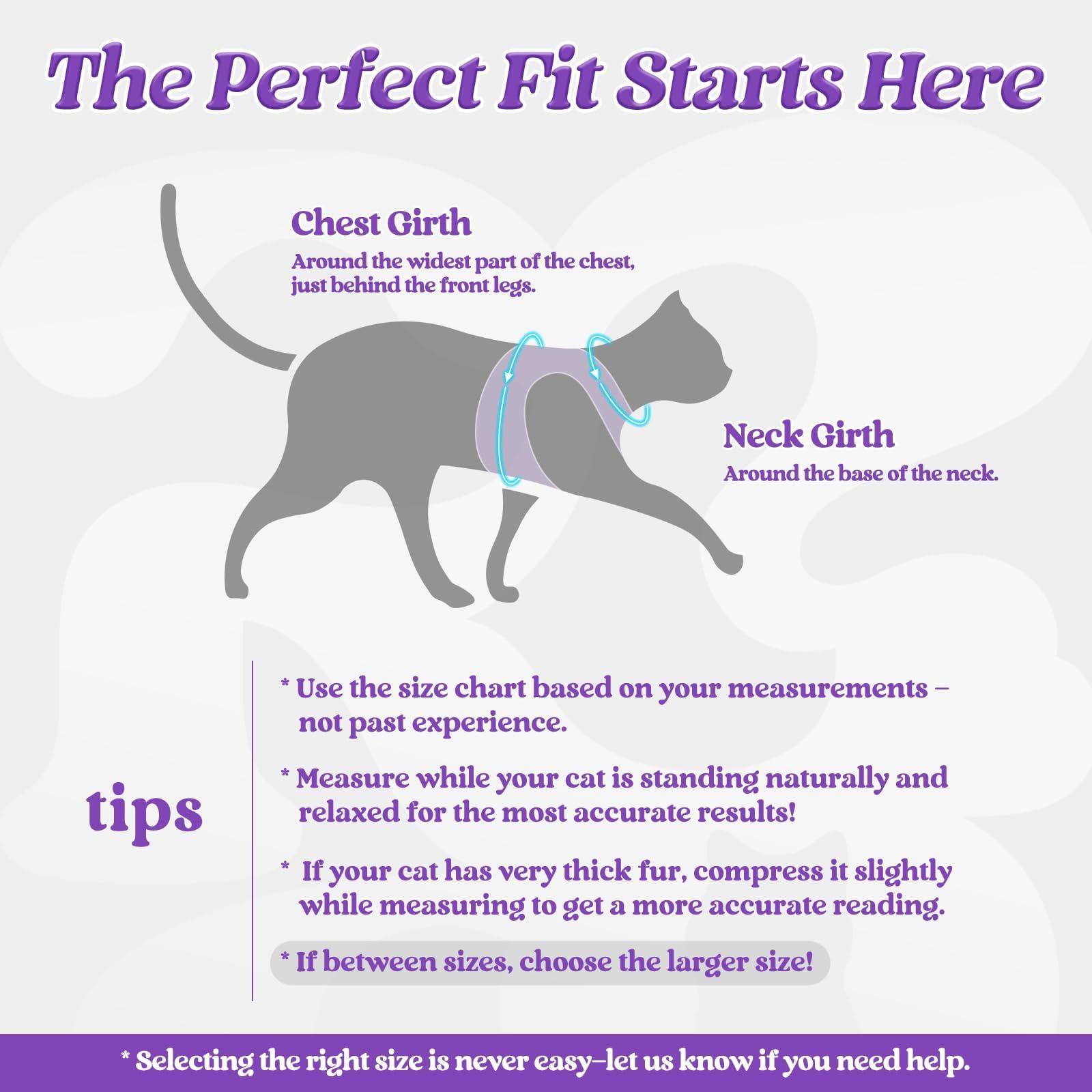 Rabbitgoo cat leash 59-inch for comfortable distance walking.