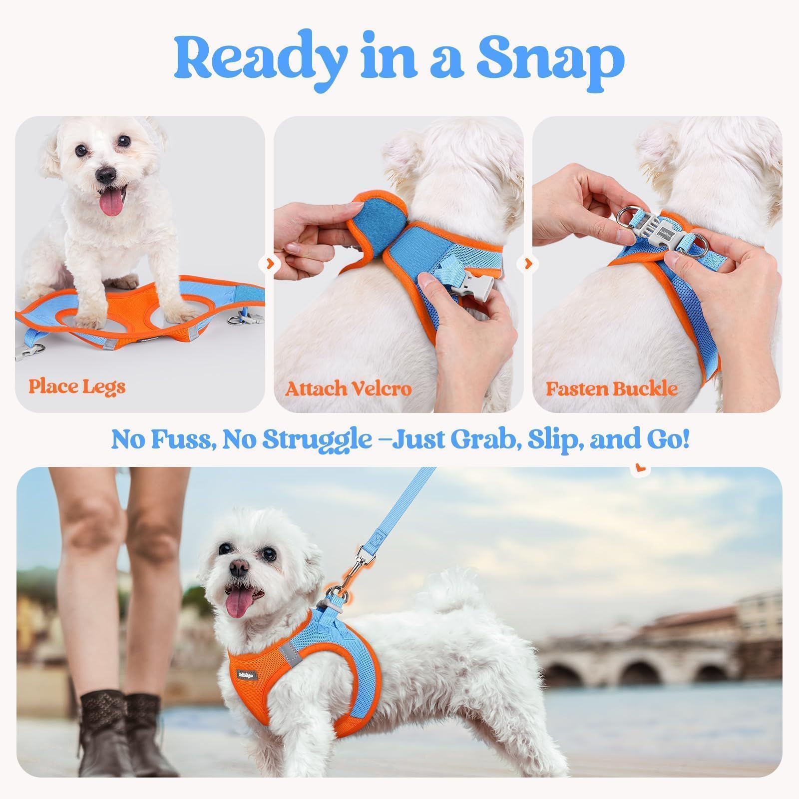 rabbitgoo color-matching harness and leash with reflective bands boost visibility.