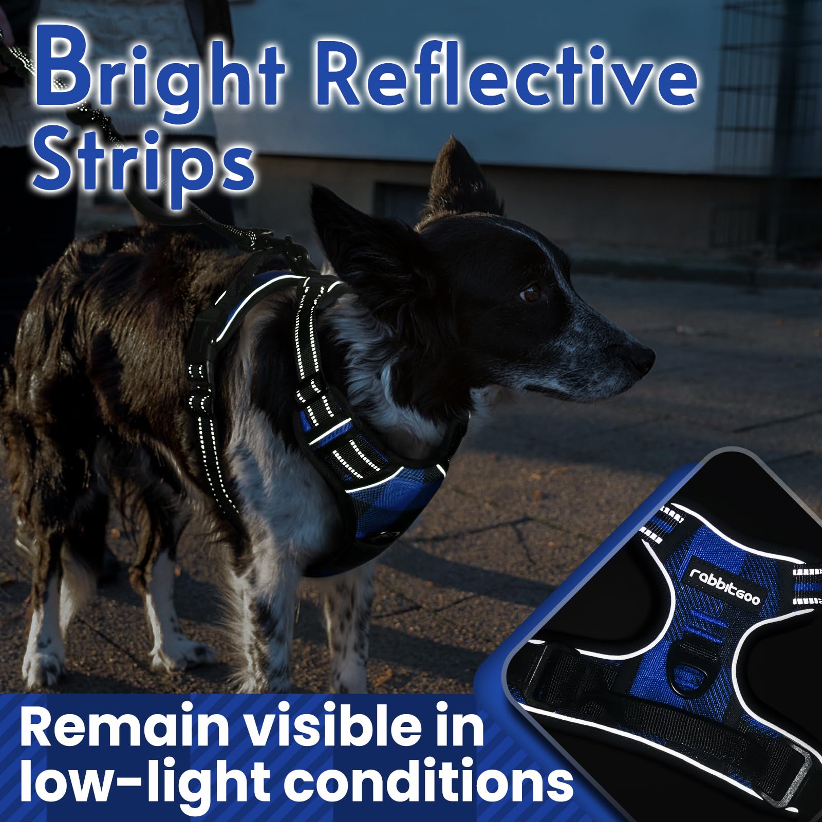 Rabbitgoo control handle harness for secure guiding during walks