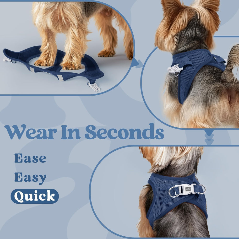 Rabbitgoo D-ring leash attachment provides reliable control on walks