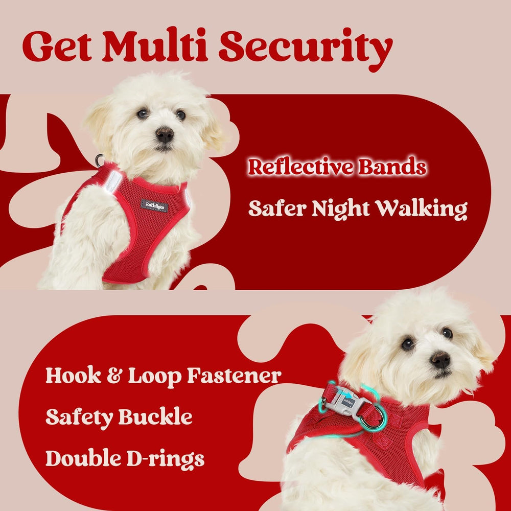 Rabbitgoo D-ring attachment provides secure leash control