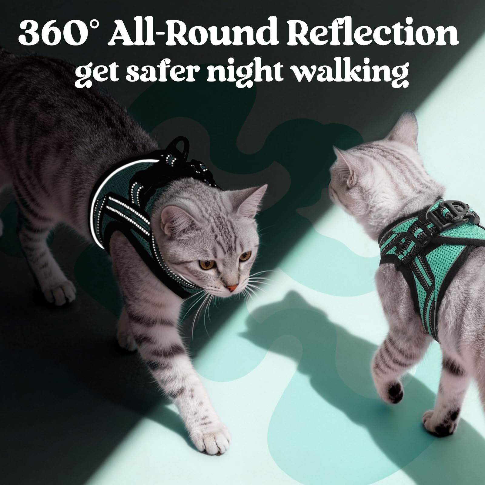 Sturdy D-ring on Rabbitgoo harness keeps leash attachment secure.
