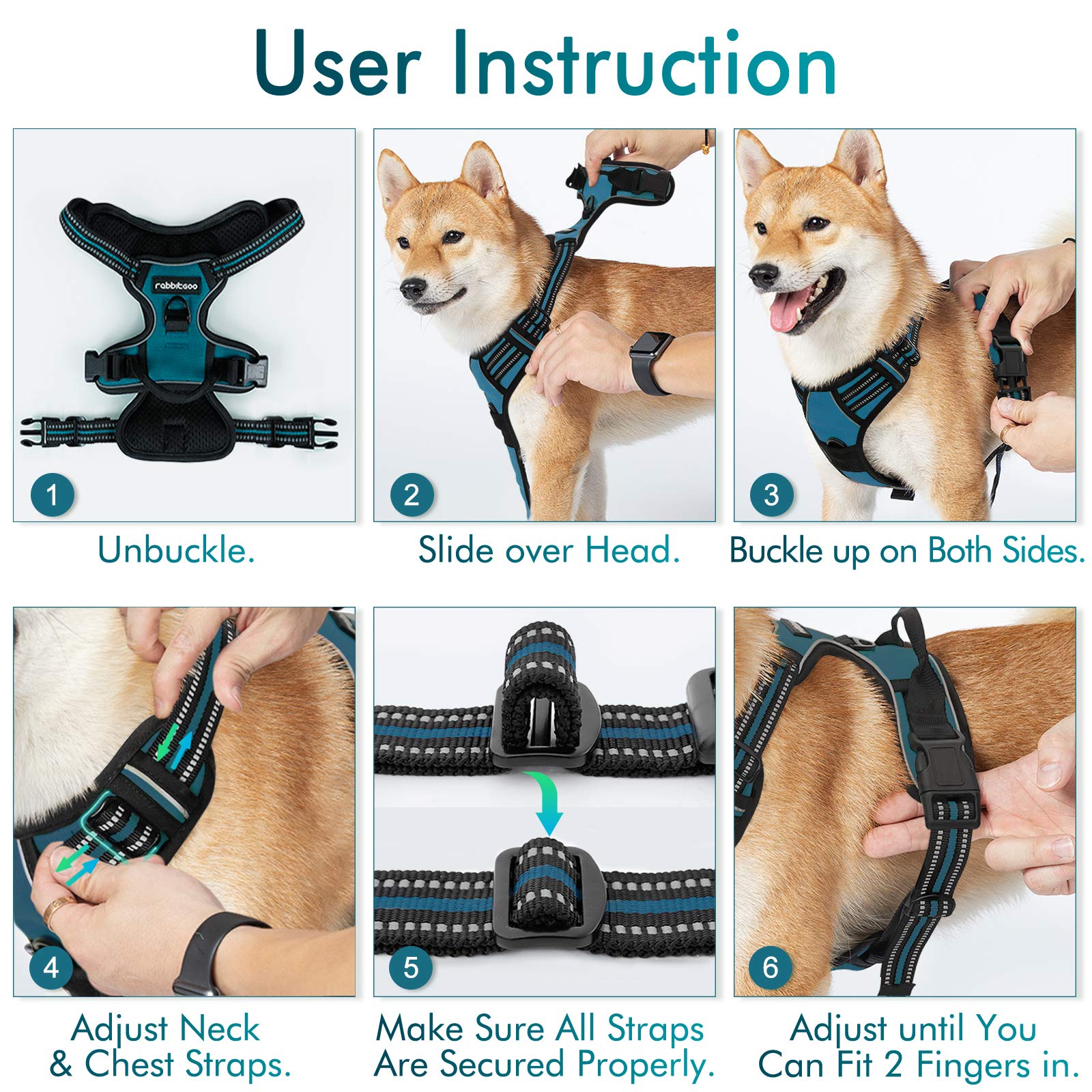 Daily walk setup with Rabbitgoo harness for safer strolls