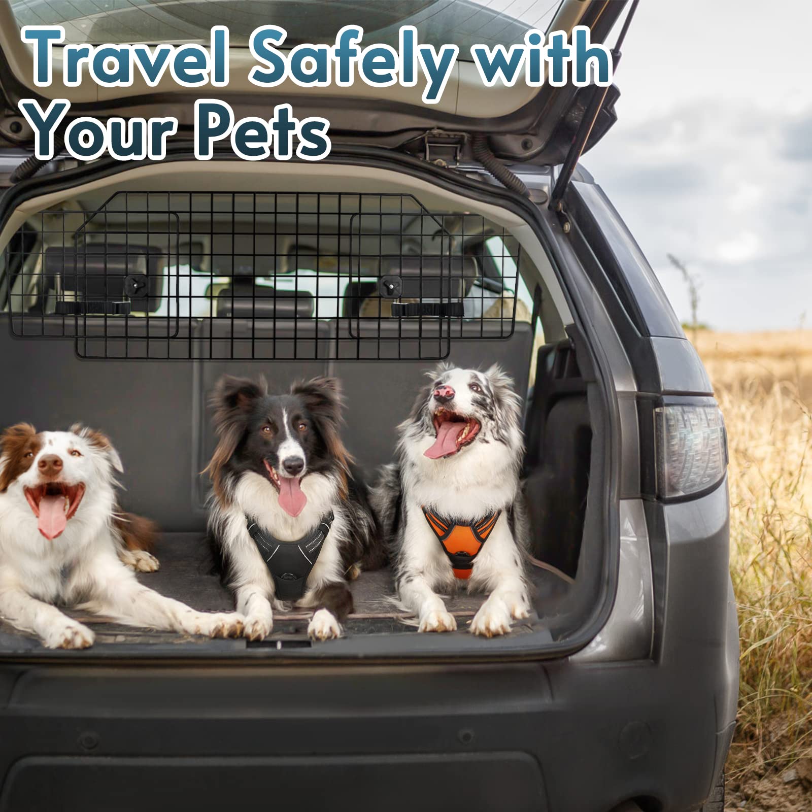 Rabbitgoo heavy-duty wire net resists dog pawing for long-lasting use