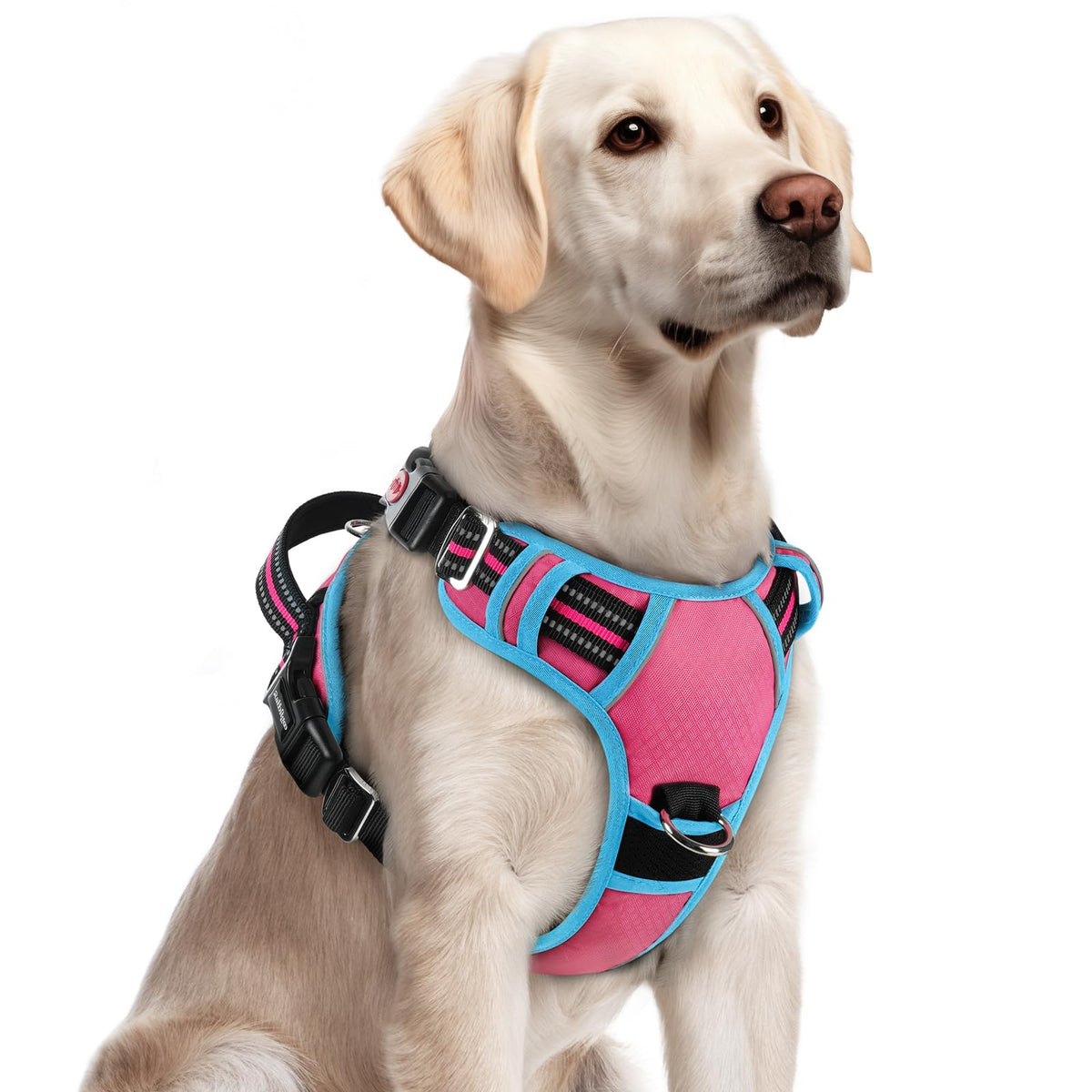 Rabbitgoo three-buckle harness for quick on-off in rose pink-blue.
