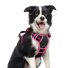 Rabbitgoo dog harness with three buckles for quick on-off and secure control on walks.