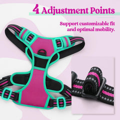 Adjustable four-strap fit on Rabbitgoo harness for secure sizing
