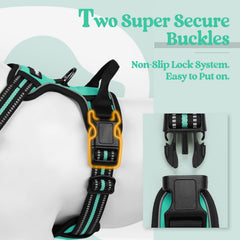 Rabbitgoo adjustable harness with four straps provides a snug, growth-friendly fit.