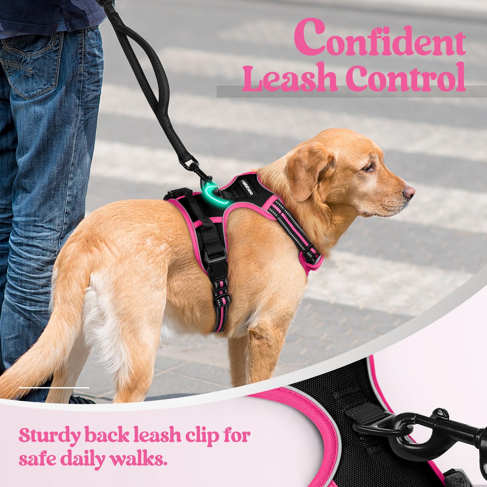 Rabbitgoo adjustable four-strap harness for a secure, growing fit.