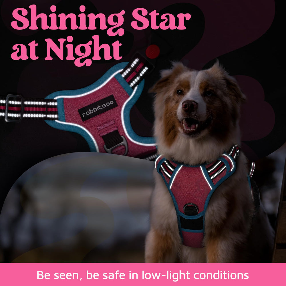 Rabbitgoo adjustable sliders provide a tailored fit for large dogs.