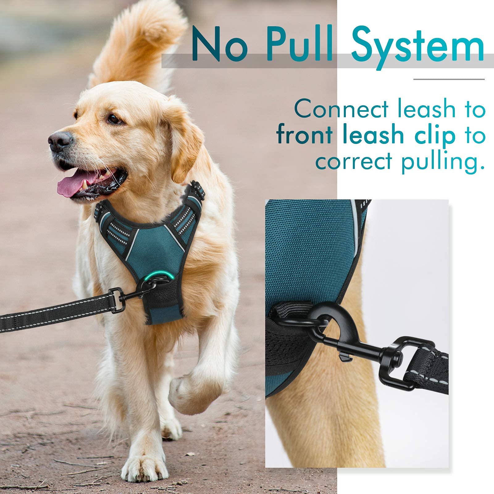 Adjustable straps on Rabbitgoo harness ensure snug, growth-friendly fit