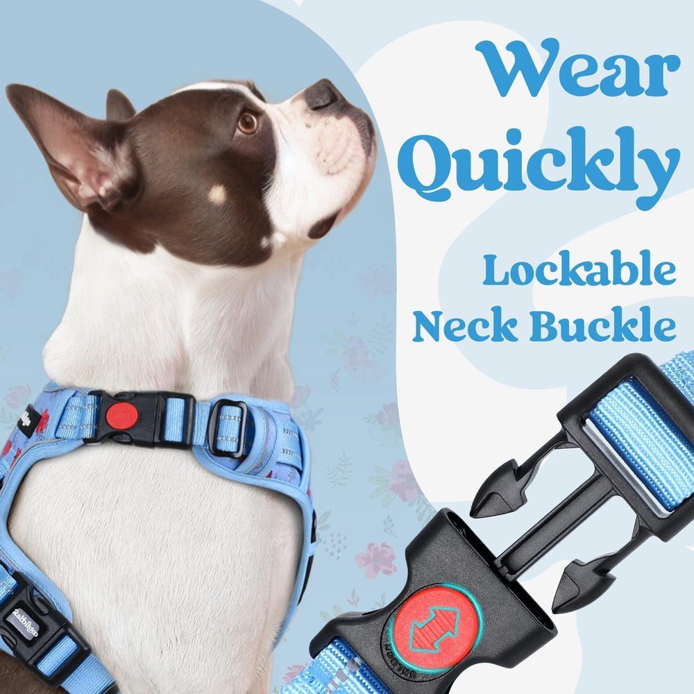 Rabbitgoo adjustable strap system, customizable fit for growing dogs