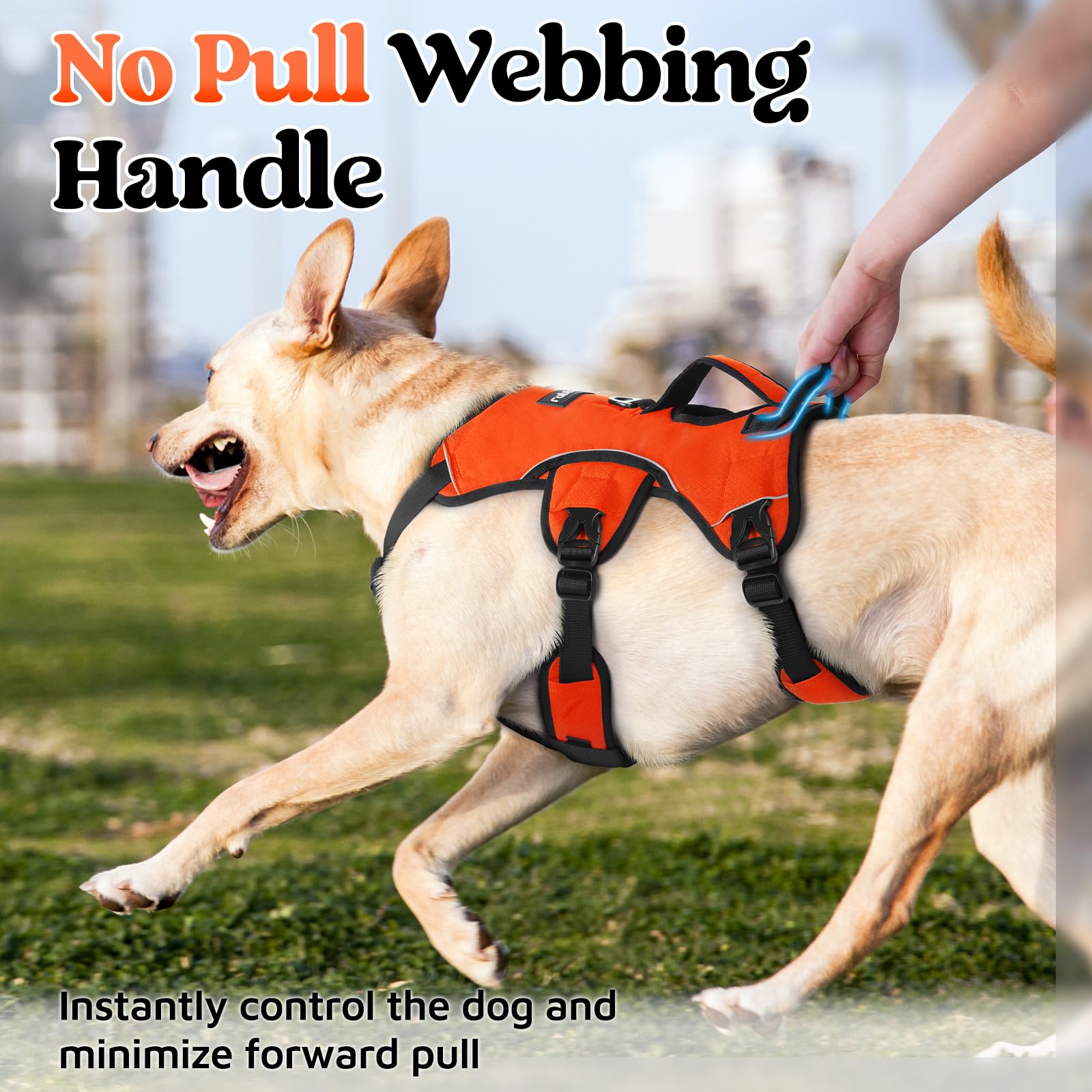 Rabbitgoo harness with adjustable strap system for snug fit and mobility.