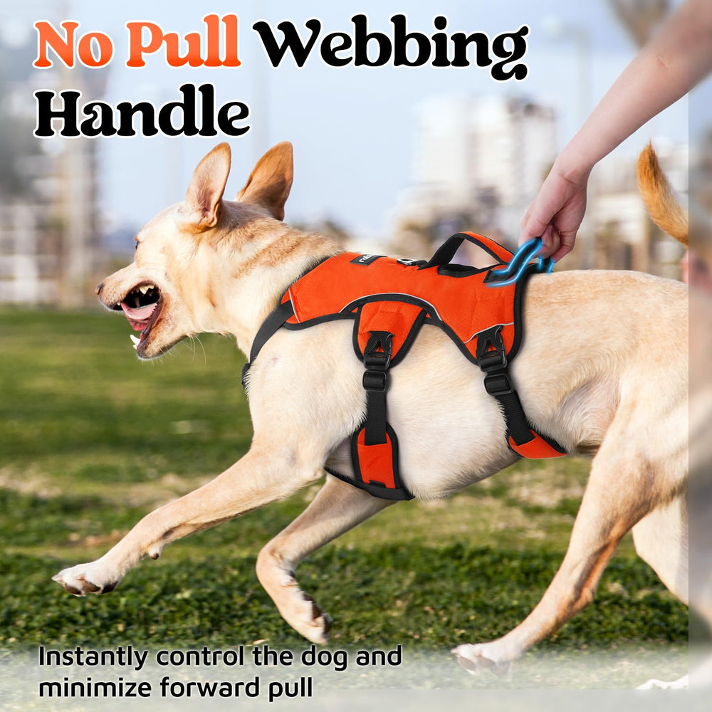 Rabbitgoo harness with adjustable strap system for snug fit and mobility.