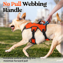 Rabbitgoo harness with adjustable strap system for snug fit and mobility.