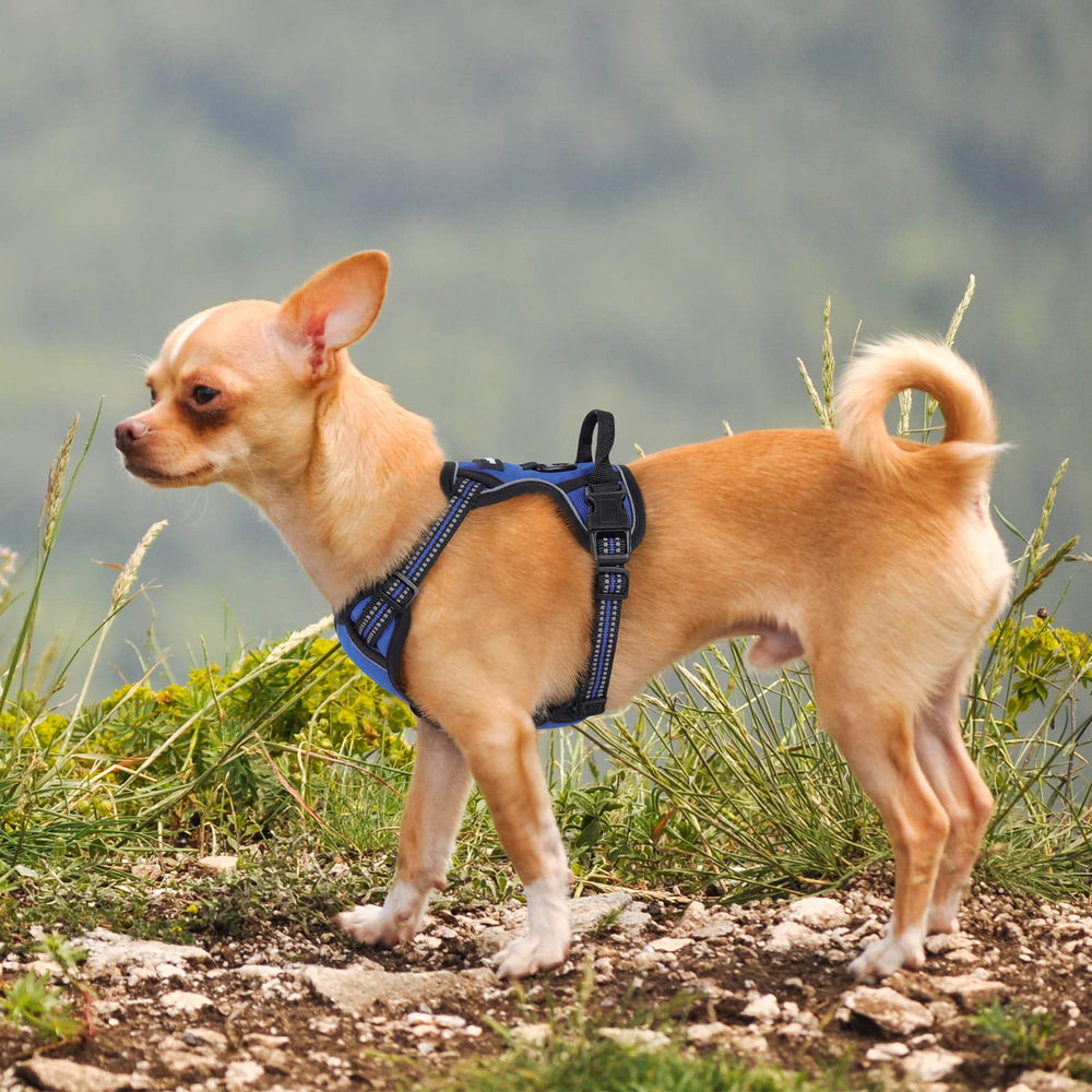 Fully adjustable strap system ensures a snug, escape-free fit for growing puppies.