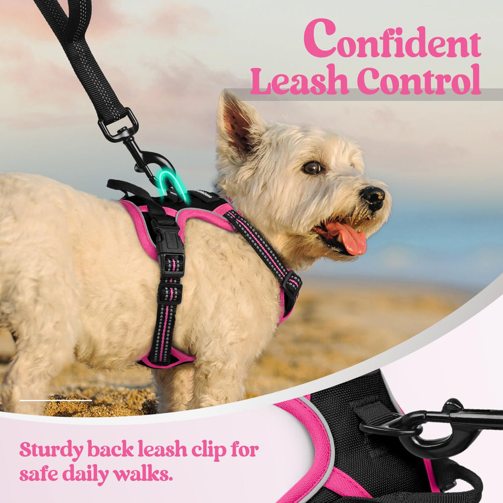 Fully adjustable Rabbitgoo harness straps for a secure, growing fit