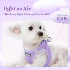 Rabbitgoo harness with adjustable strap for a snug fit