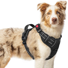 Rabbitgoo dog harness with adjustable straps for secure, comfortable fit during walks.