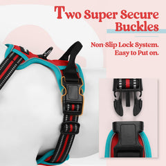 Rabbitgoo harness adjustable straps close-up shows customizable fit for growth.