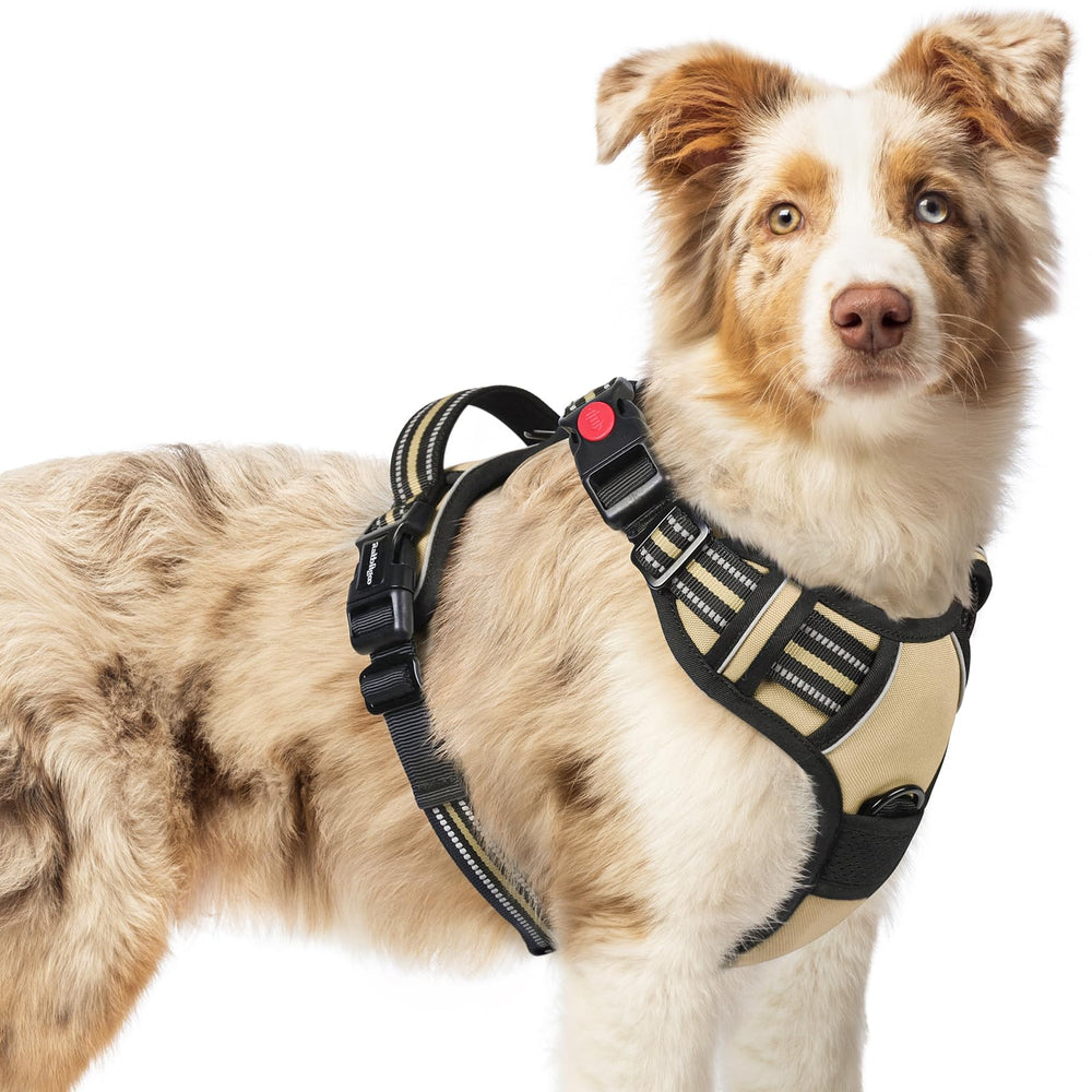 Rabbitgoo dog harness with adjustable straps for a secure, comfortable fit.