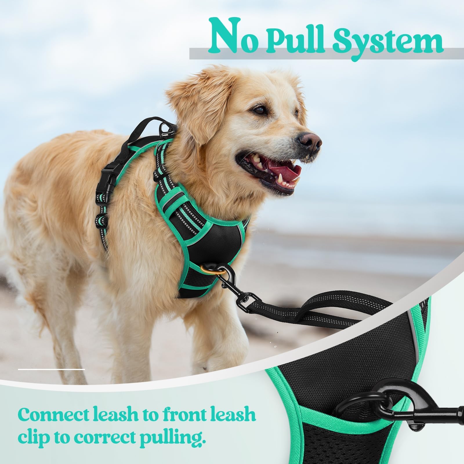 Rabbitgoo fully adjustable straps ensure snug fit with growth room