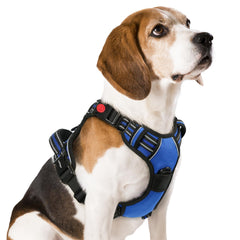 Rabbitgoo dog harness shows adjustable straps for a secure, comfortable fit.