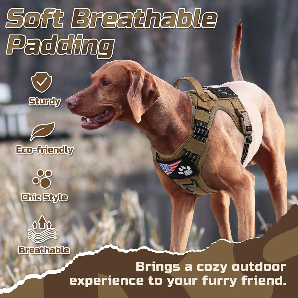 Rabbitgoo X-Large harness with adjustable straps ensures a snug fit across breeds.