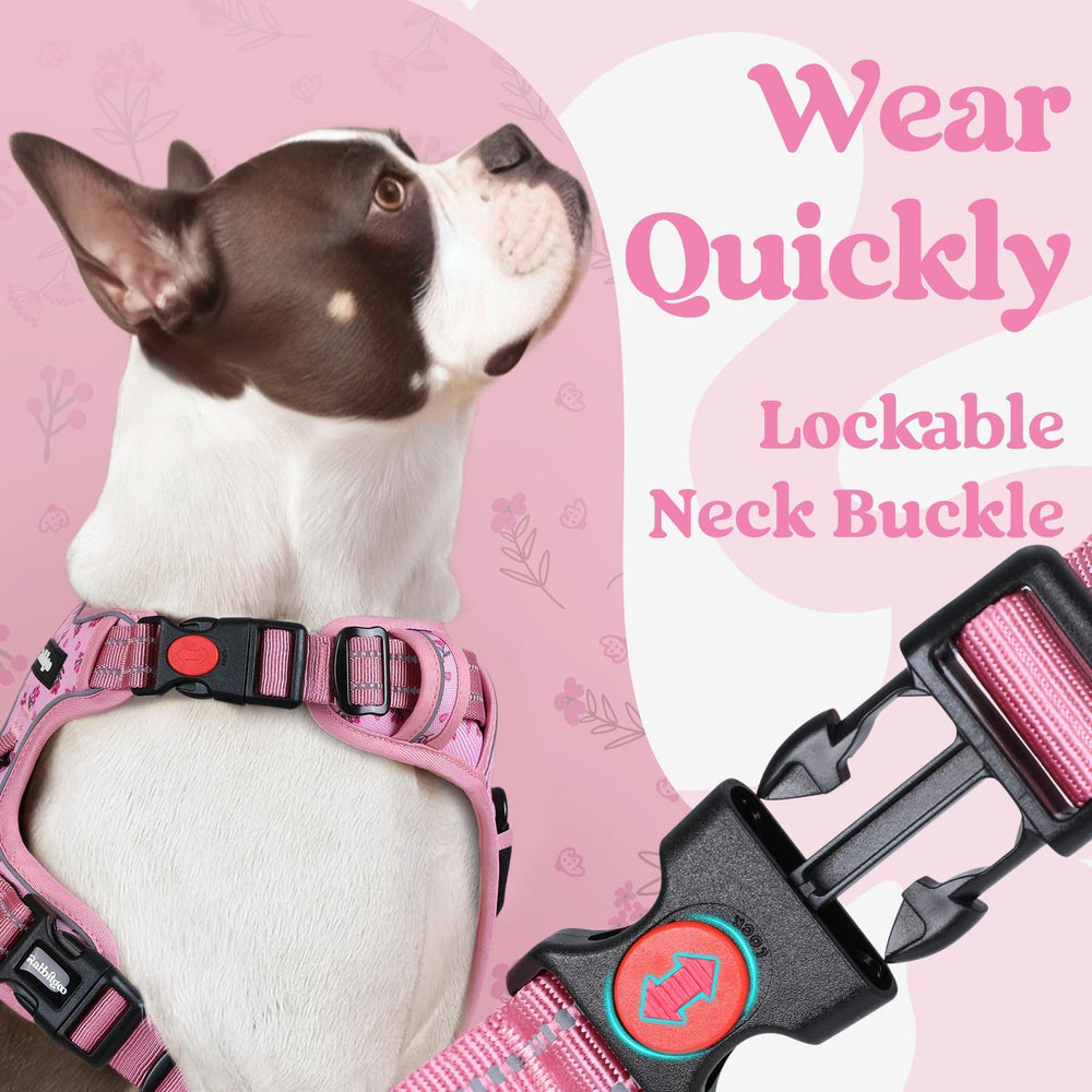 Rabbitgoo harness adjustment straps highlight growth-friendly fit.