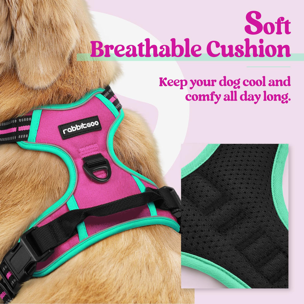 Rabbitgoo harness back clip for casual walks and training sessions.