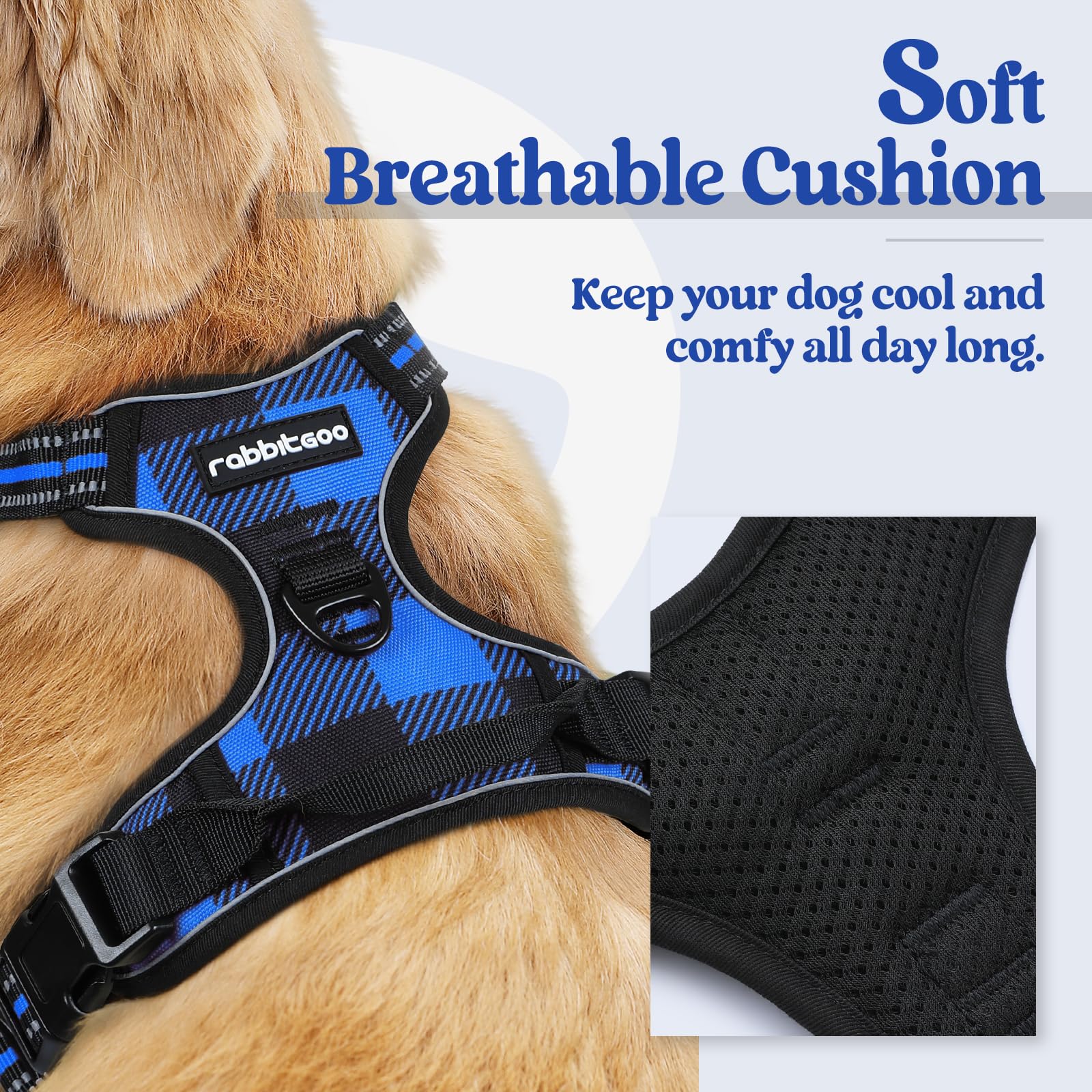 Rabbitgoo back-clip harness shown for casual walks and easy handling.