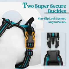 Rabbitgoo back-clip harness enabling casual walks with comfortable leash option