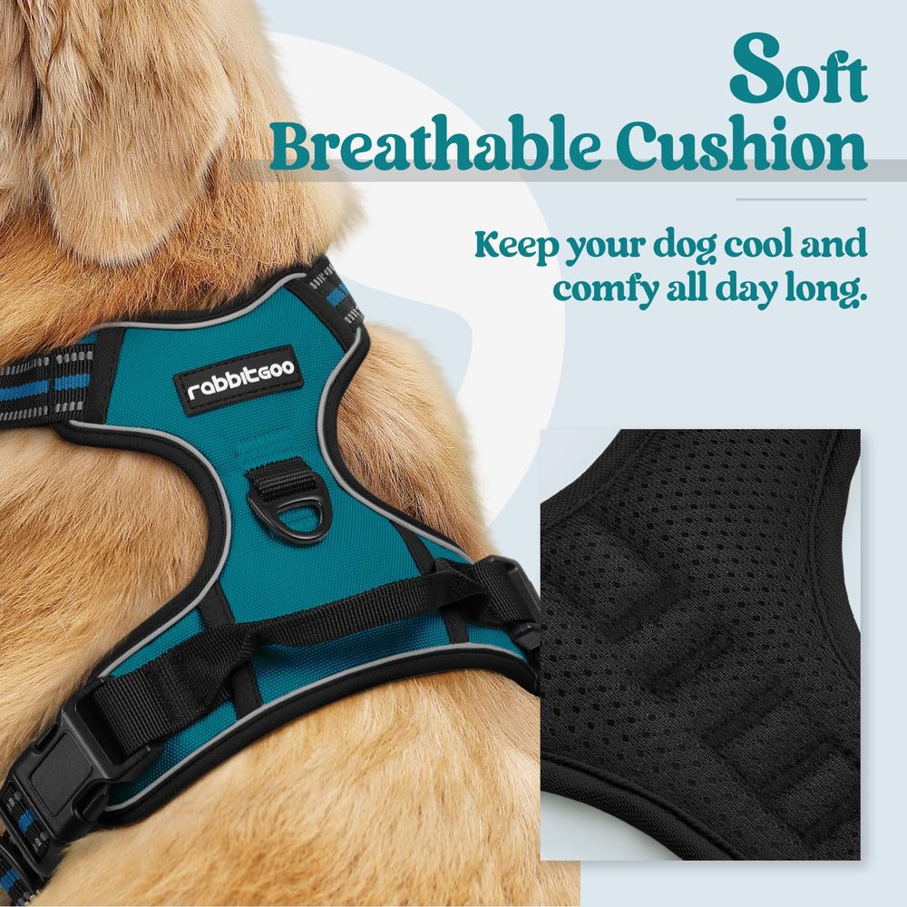 Rabbitgoo harness back clip for casual walks and smooth handling