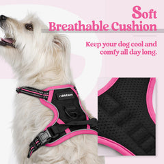 Back-clip position supports casual walks and jogging with Rabbitgoo harness