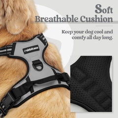 Rabbitgoo dog harness back leash clip for casual walks