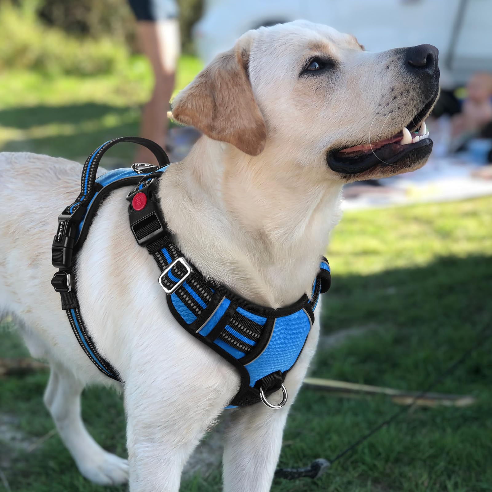 Rabbitgoo blue large dog harness suitable for big dogs with durability