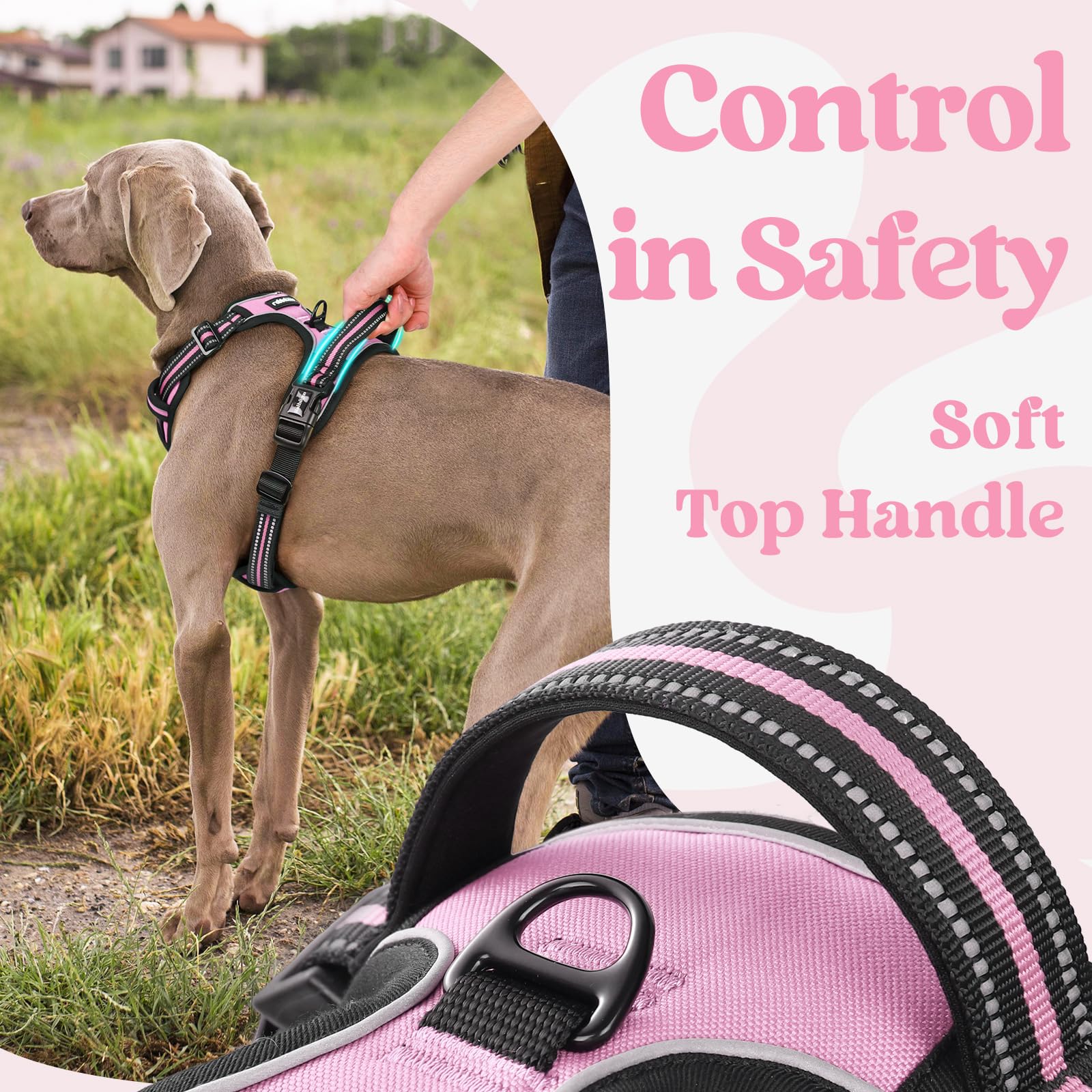 Rabbitgoo top handle provides secure control during training.