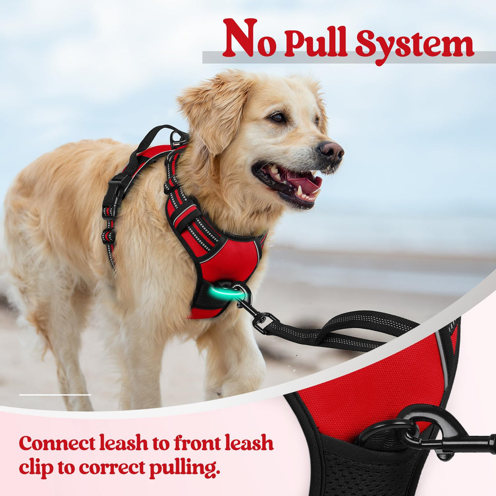 Rabbitgoo breathable air mesh keeps your dog cool during outdoor activity.