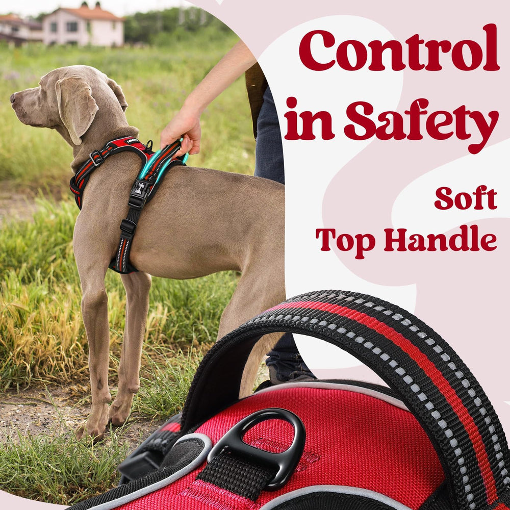Rabbitgoo breathable air mesh keeps dogs cool on long strolls.
