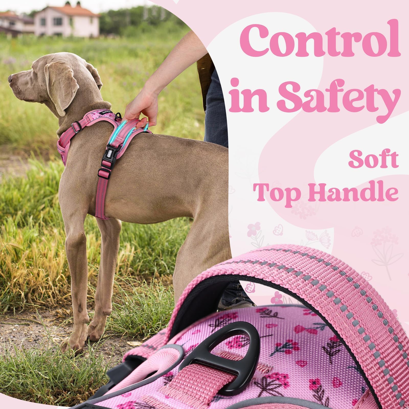 Rabbitgoo breathable air mesh keeps dogs cool during long strolls