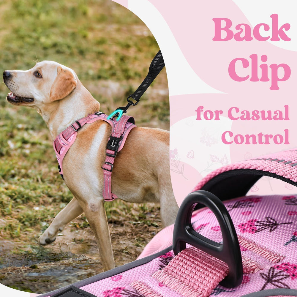 Rabbitgoo breathable mesh keeps dogs cool during walks.